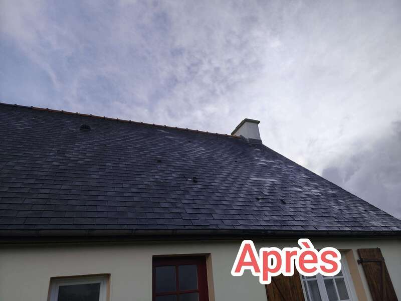 Entretien de toiture après