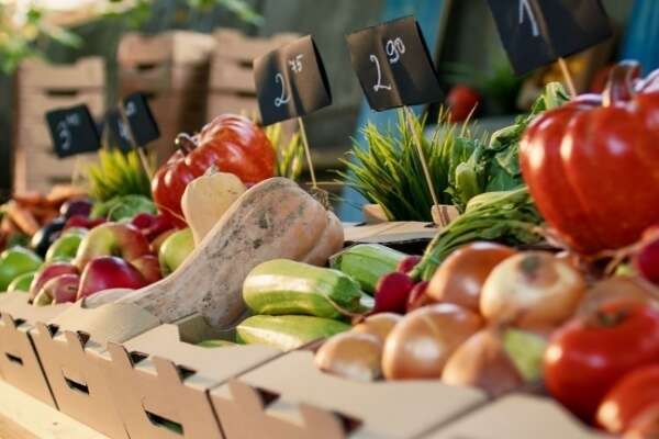 Indices des prix des produits agricoles - Année 2024