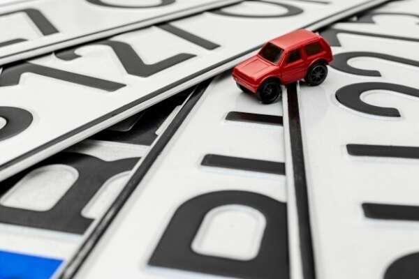 Immatriculation de voitures particulières - Année 2024