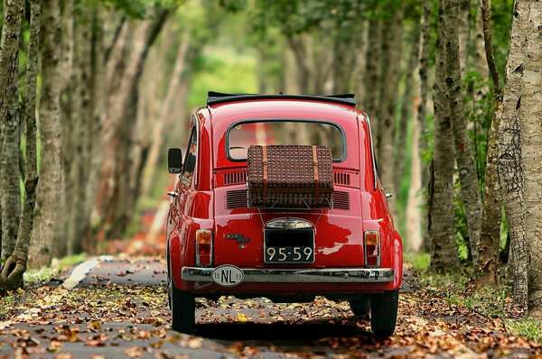 Examens, Permis et Sophrologie