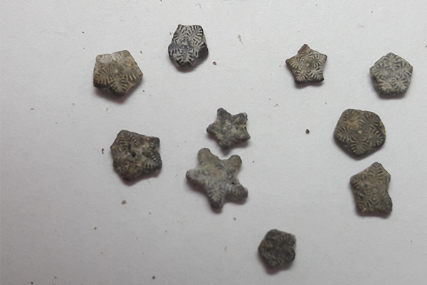 attachement_16363594690