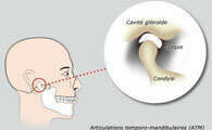 DAM ET ARTICULATIONS TEMPORO-MANDIBULAIRES (ATM)