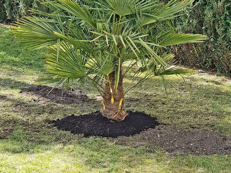 20201014_00124820201019-48144-1den63f