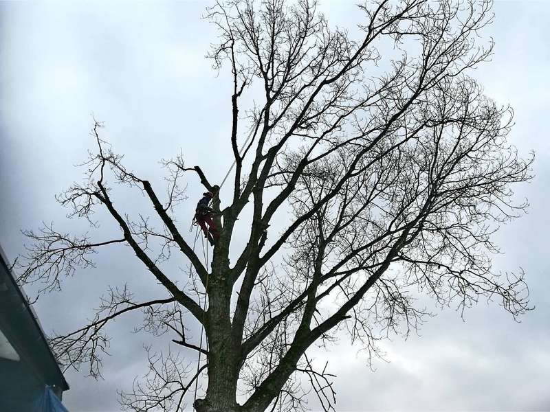 20201014_00062620201019-48144-1q73432