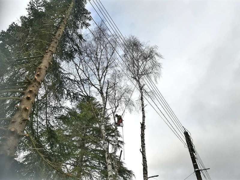 20201014_00061720201019-48144-zdbvee