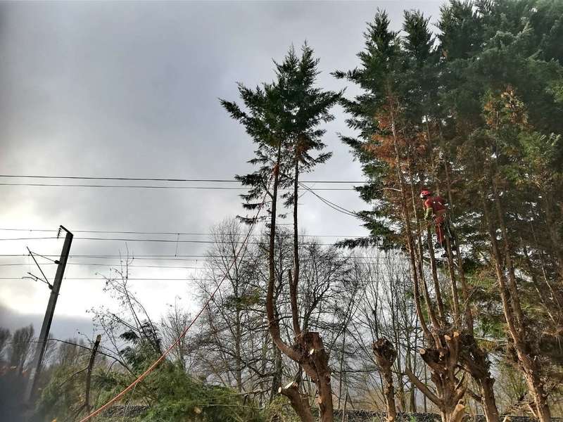 20201014_00060420201019-48144-18v5kr8