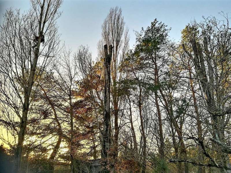 20201014_00055220201019-48144-i43wbd