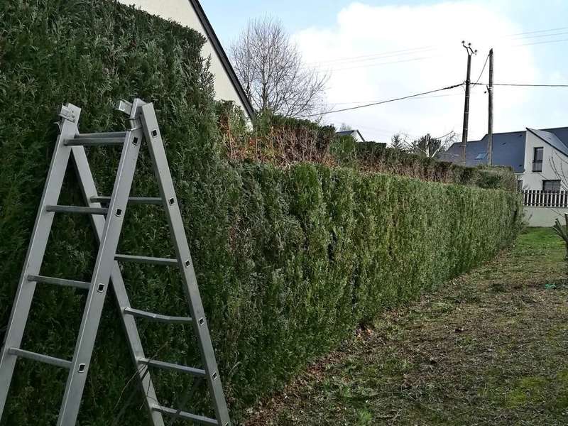 20201014_00053920201019-48144-1h1ycpd