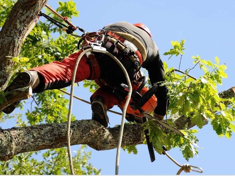 20201014_00045420201019-48144-1e1a8t