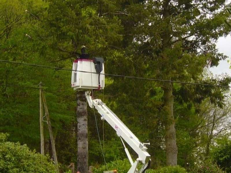 20201014_00042820201019-48144-rigz0x