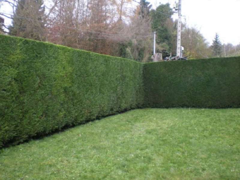 20201014_00032620201019-48144-11hi3ih