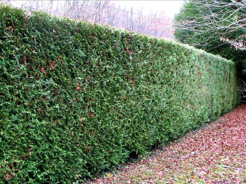 20201014_00160120201019-48144-33baaa