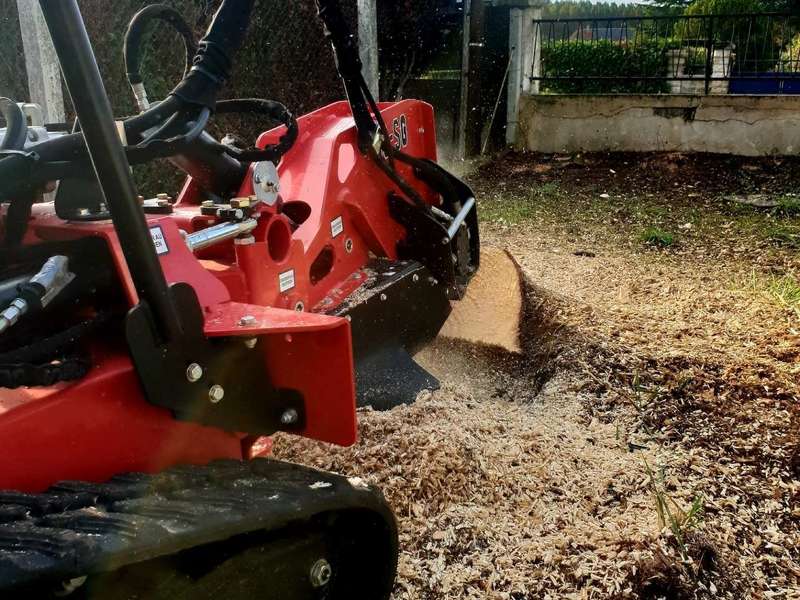 20201014_00163220201019-48144-1i8ht80