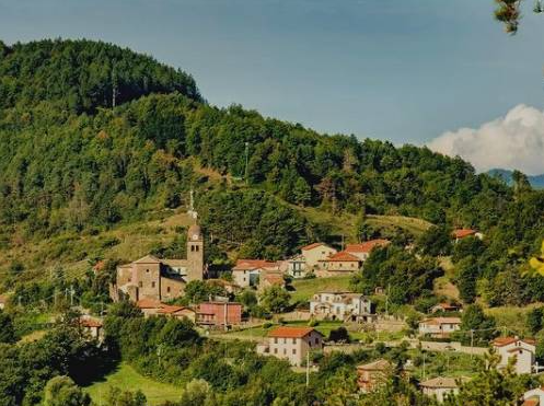 Casimir, naturalisé français