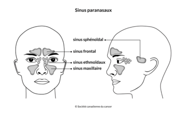 Clement Donnou osteopathe lyon 8 douleur sport machoire posture