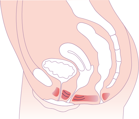 clement donnou osteopathe lyon 8 douleur femme perinatalite femme enciente post partum