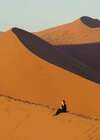 femme dans le desert