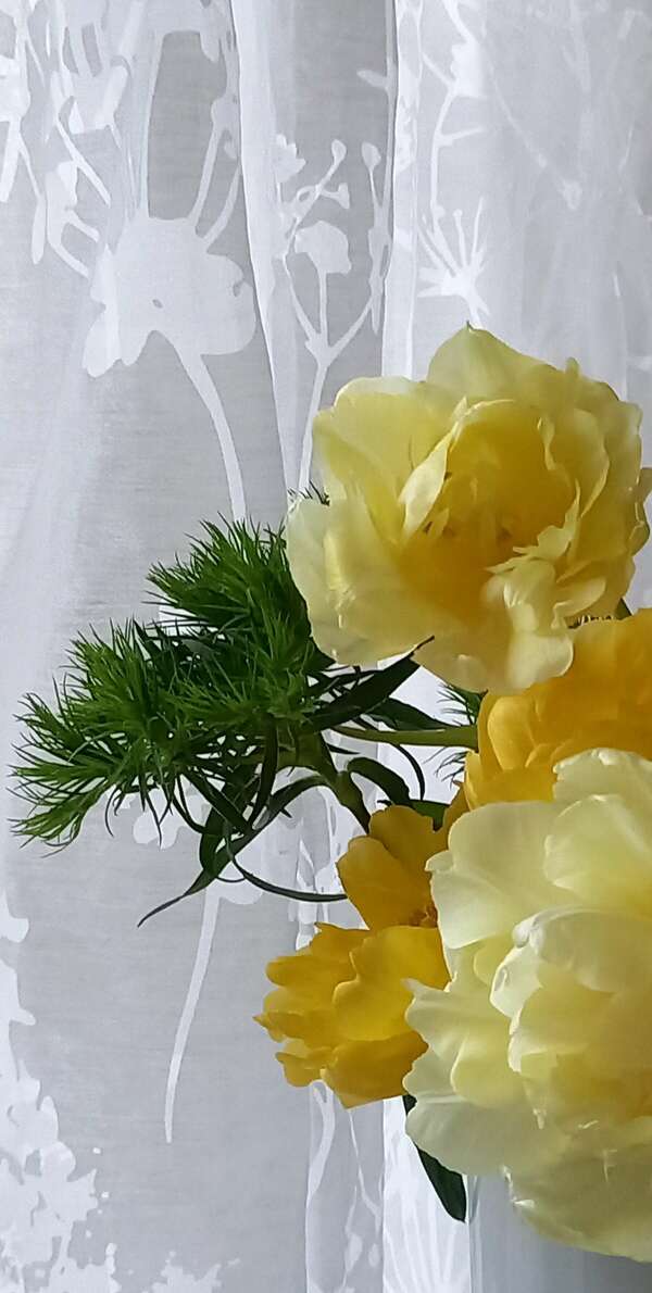 14 et 15 mars 2024 : stage week end "Habiter notre Terre intérieure" sagesse chinoise et qi gong