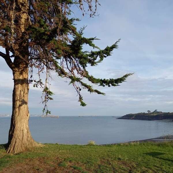 stage de qi gong  en septembre 2026 à Saint Jacut de la mer  