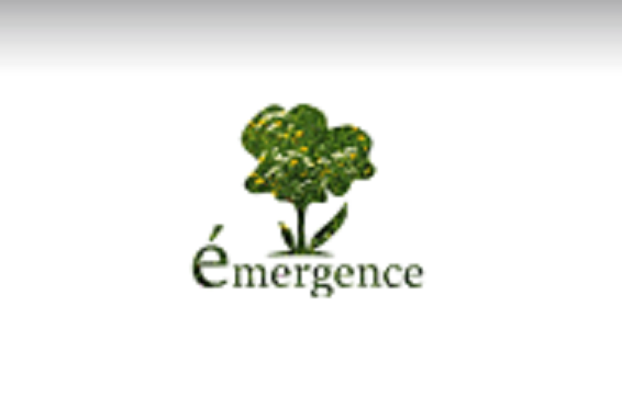 Emergence