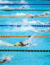 nageurs en compétition dans piscine bienfaits natation santé articulaire