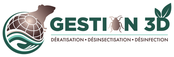 Logo Gestion 3D Logo Gestion 3D