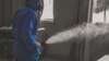Moucherons volant dans un logement signe d'humidité