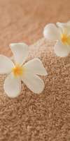 Karine Maligeay, Massage de relaxation à Mons-en-Barœul