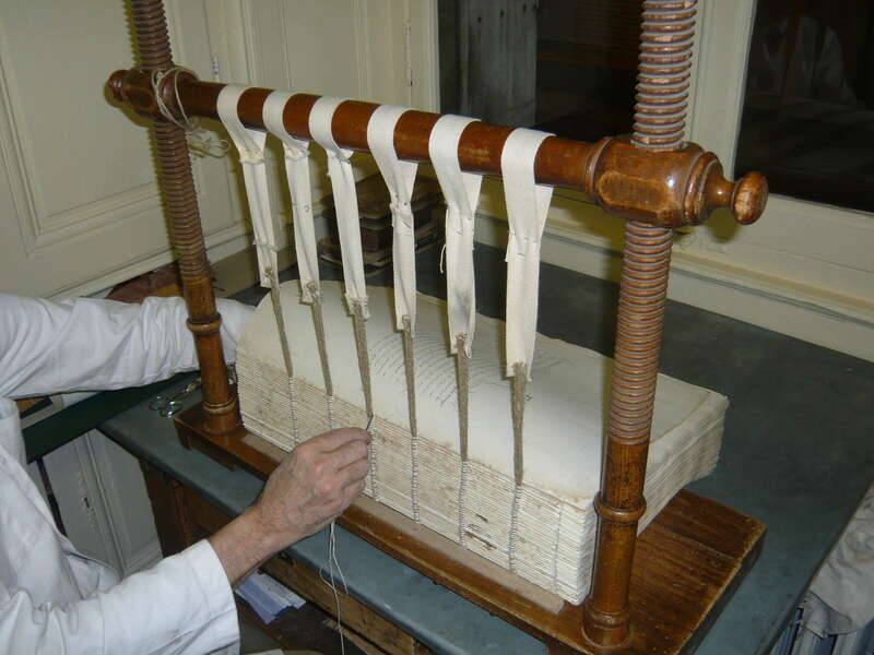 p101041120201102-48144-elsnop