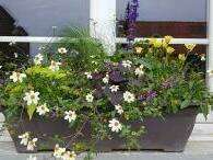 100482680-255968918950015-3110487591472857088-o