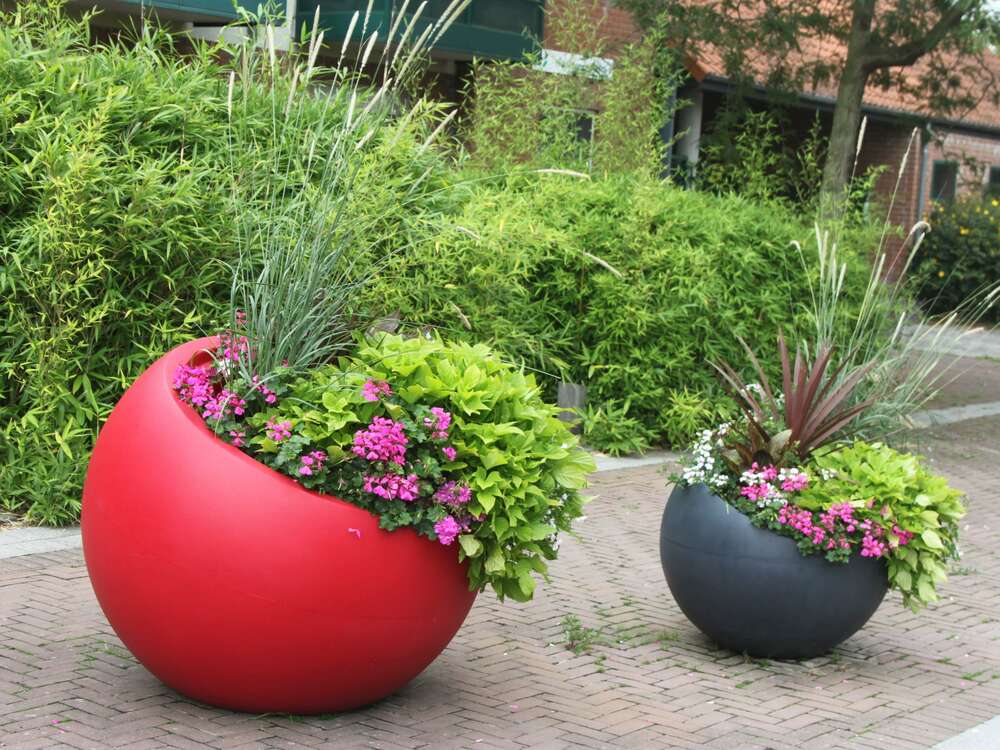 LES SERRES DU NOUVEAU MONDE, HORTICULTURE à La
