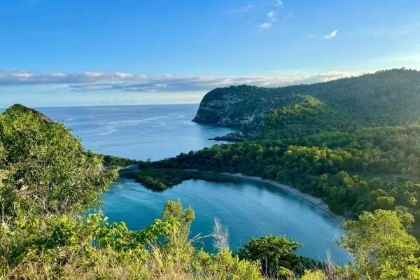 Indice des prix à la consommation à Mayotte - Année 2024