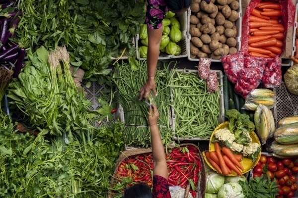 Loi sur la stabilité économique et la compétitivité du secteur agroalimentaire : quelles nouveautés ?