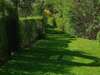Entretien d'espaces verts