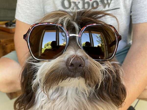 Les animaux, une ressource insoupçonnée