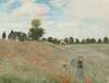 coquelicot