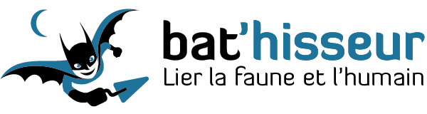 Logo Bat'hisseur Logo Bat'hisseur