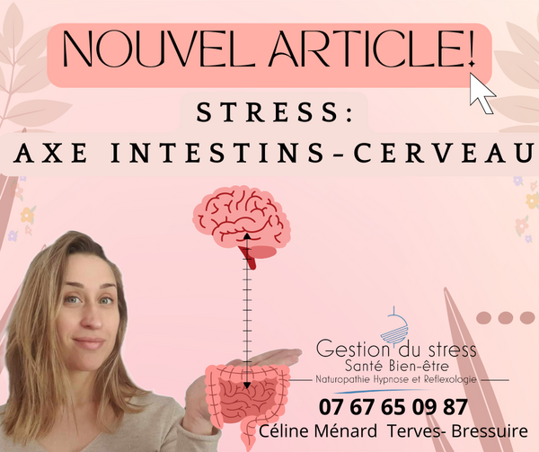 INTESTINS-CERVEAU ET GESTION DU STRESS