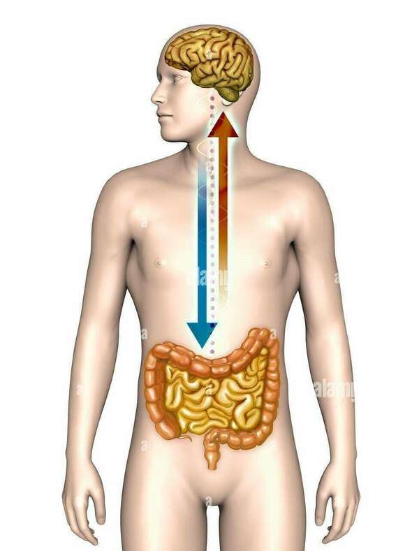 Stress, traumatismes et troubles digestifs : une approche globale pour retrouver l’équilibre