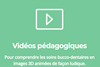 Vidéos pédagogiques
