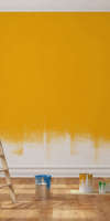 DLMrenovation, Peinture à Plaisance-du-Touch