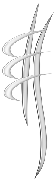 Logo Delphine Ray chiropracteure