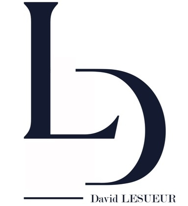 Logo David LESUEUR