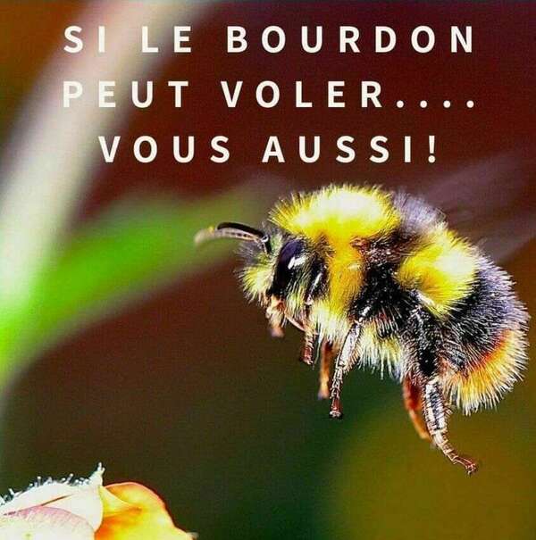 Et si vous étiez votre propre saboteur