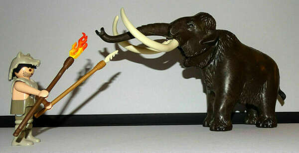 Comprendre les origines du stress : de l’instinct de survie à l’équilibre moderne