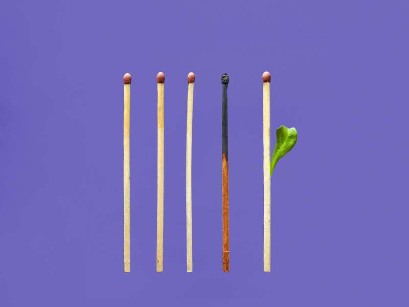 pexels-jj-jordan-7448281