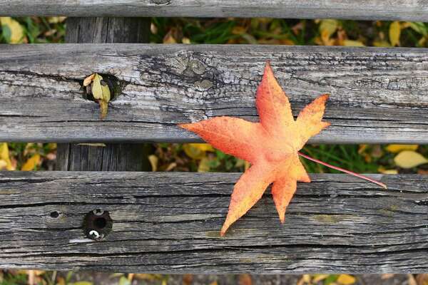 Mieux vivre l’automne : Techniques pour combattre la fatigue et la morosité
