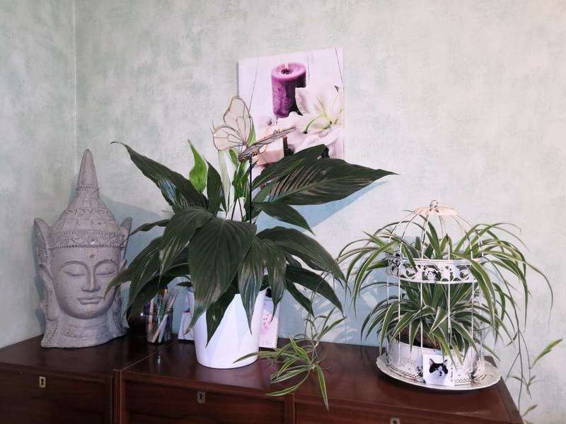 thumbnail_00520190829-1189708-kom2ux