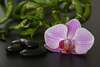 Fleur orchidée et pierres massage symbolisant détente sophrologie