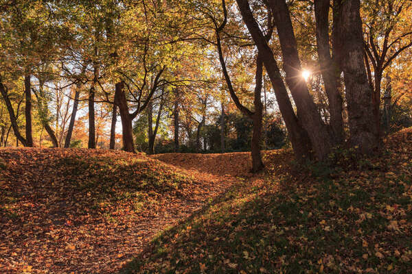 Comment s'habiller pour une séance de sport en extérieur avec ce froid 